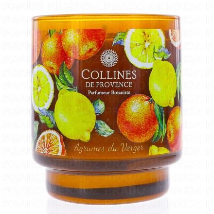 COLLINES DE PROVENCE Bougie parfum&eacute;e Agrumes du Verger 220g